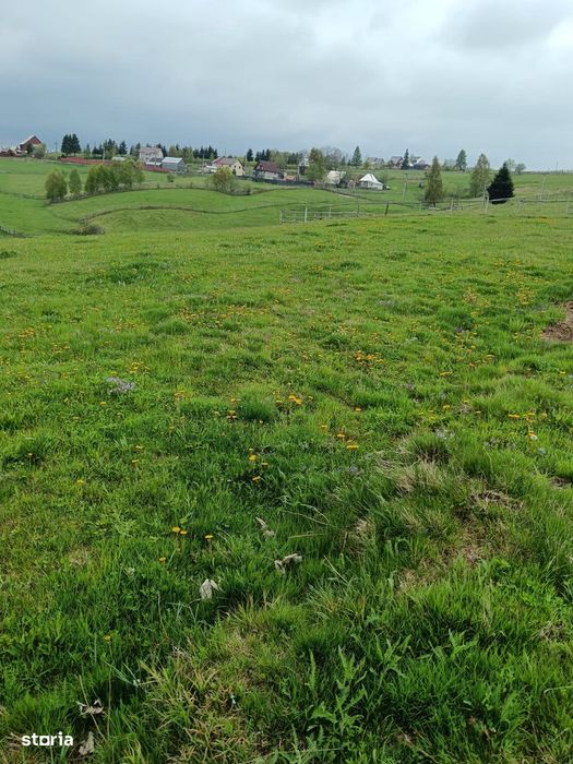 Teren 6000mp Măguri-Răcătău, pârâu, utilități. Schimb Florești