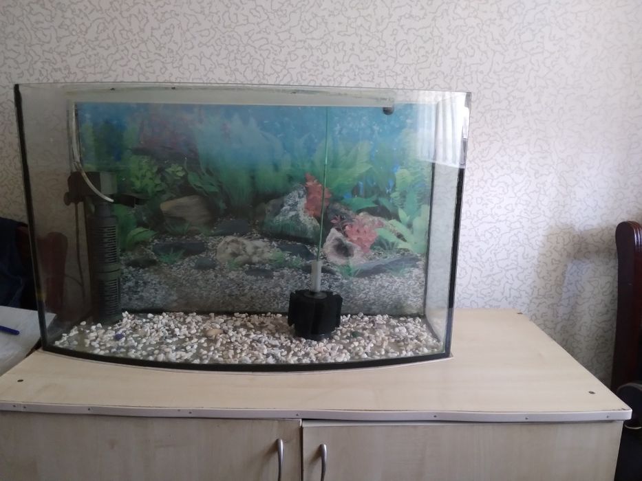 Сатылады 100 л аквариум.