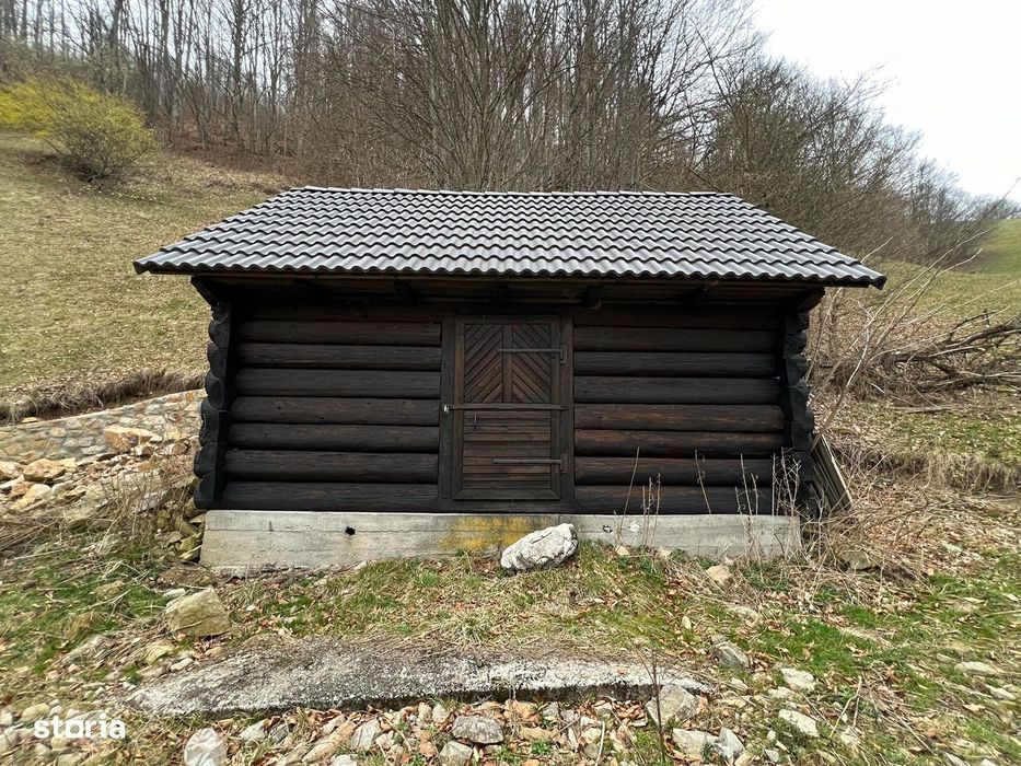 Teren intravilan 1.28ha Remeti–perfect pensiune/cabane, zonă turistica