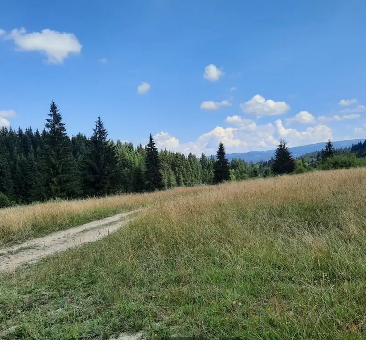 Vând teren intravilan în Topliţa Harghita