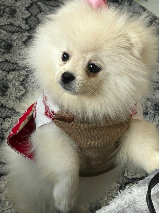 Момиченце на 3 месеца