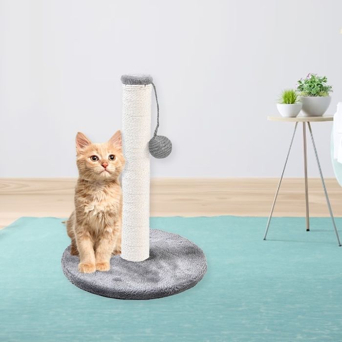 Котешка драскалка