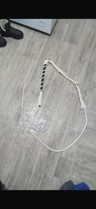 Қамшы шыбырқылар