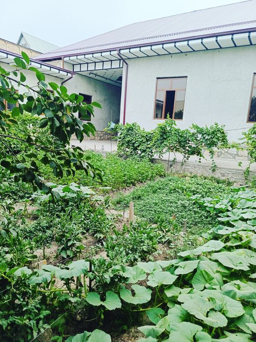 Навоий шахар Умид кургонида пишган гиштдан курилган ховли сотилади