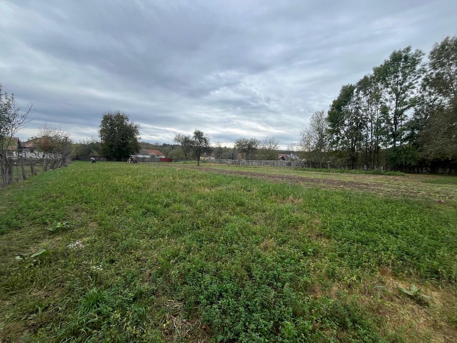 Vand teren   3500  mp plus un tractor de 645 cu fata