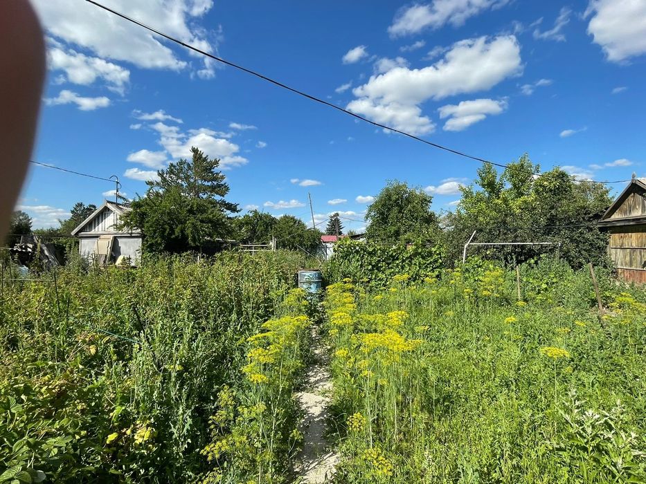 Продам дачу, недорога