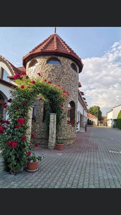 Afacere la cheie sala de evenimete restaurant