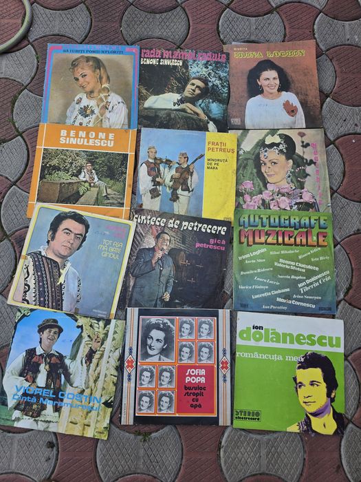 Discuri vinil si pick-up