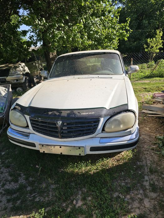 Газ Волга 31105. Жылы 2008 люкс вариант