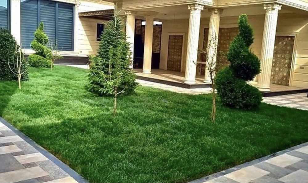 Газон, ландшафт, полиф киламиз тез ва арзон нархда