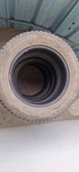 Зимние шины шипованные