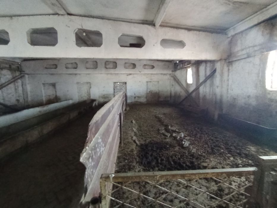 Чорвачилик бино иншоатлари