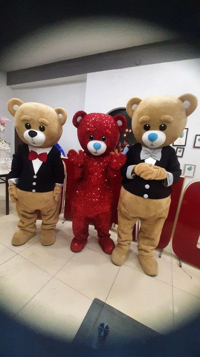 Animator ayiqchalar arzon sotiladi