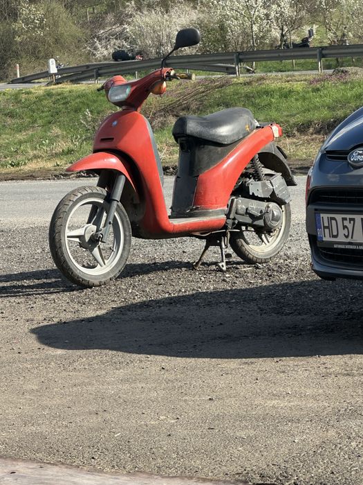 Dragonu rosu cros scuter