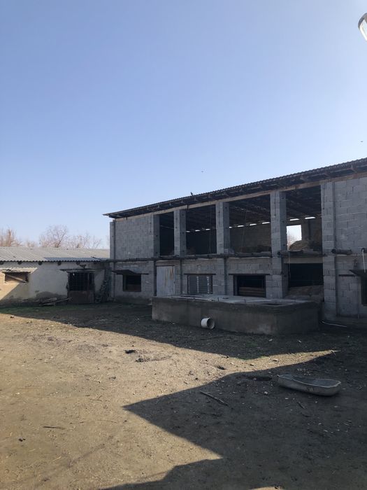 Фазенда Сатылады Откорм Баз