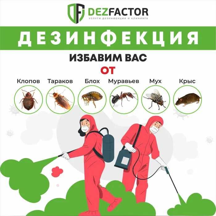 Дезинфекция Dezinfeksiya 24/7 обработка клоп, таракан, запахи, плесень