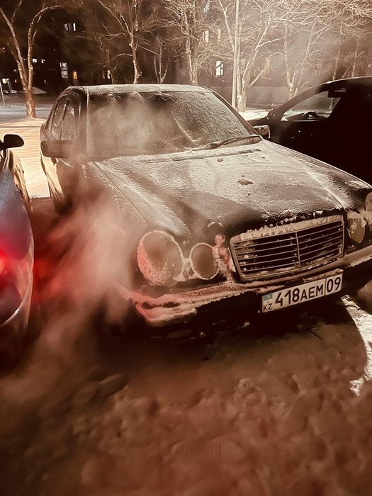 Мерседес лупарик