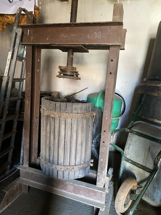Teasc struguri 2 bucati