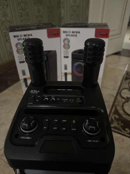 Калонка с микрафонам