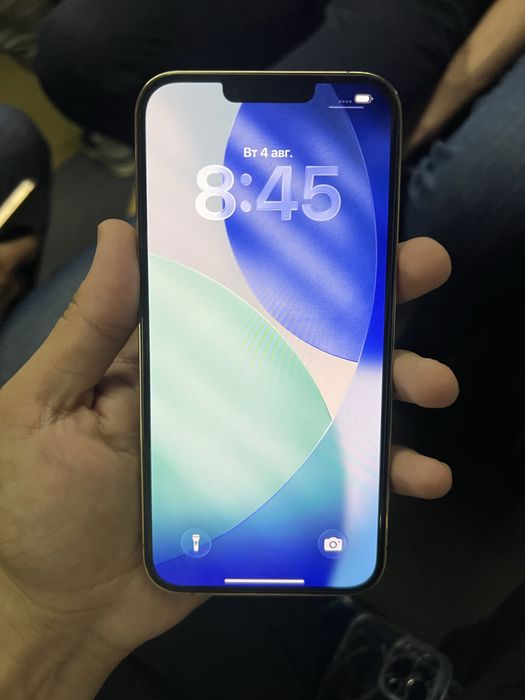 iPhone 13 Pro Max