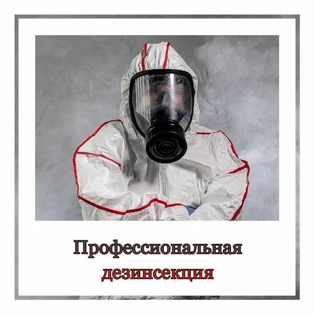 Дезинфекция от всех насекомых..