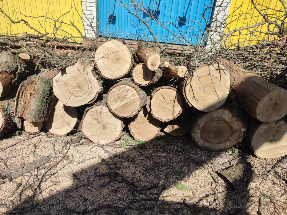 Спил деревьев любой сложности