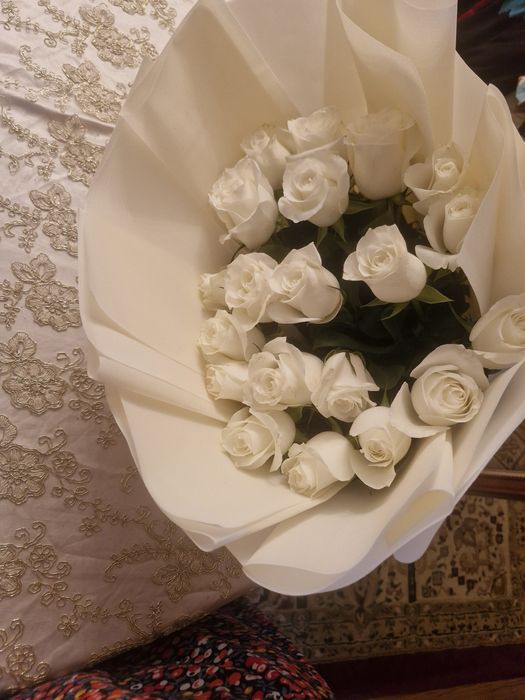Белый роза бутон голландский