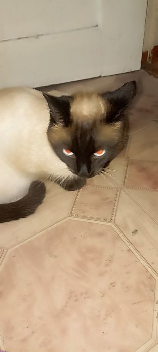 В самые ответственные руки