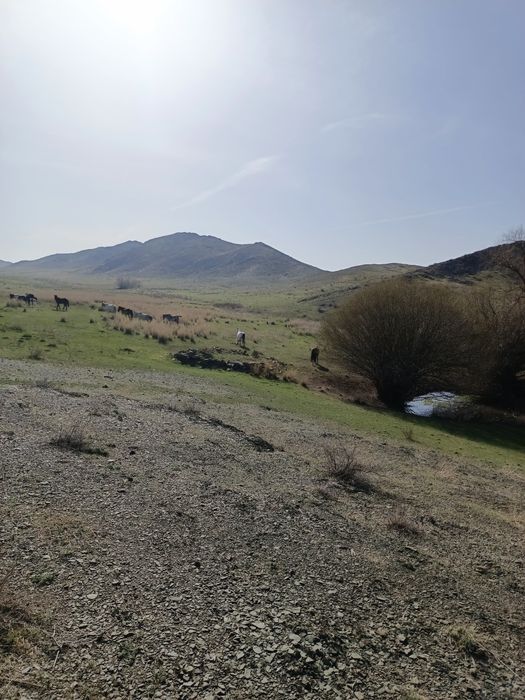 Фазенда сатылады