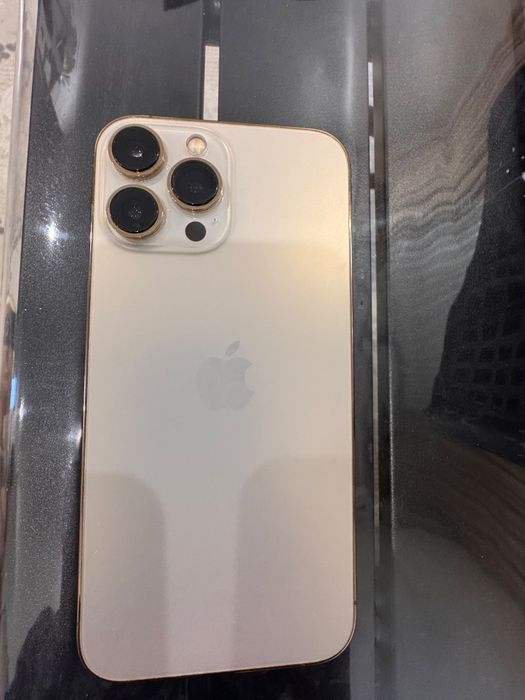 iPhone 13 Pro Max