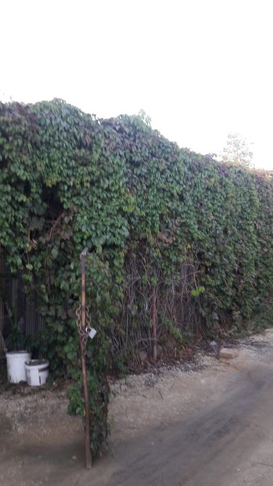 Продам дачный уголок 10 соток