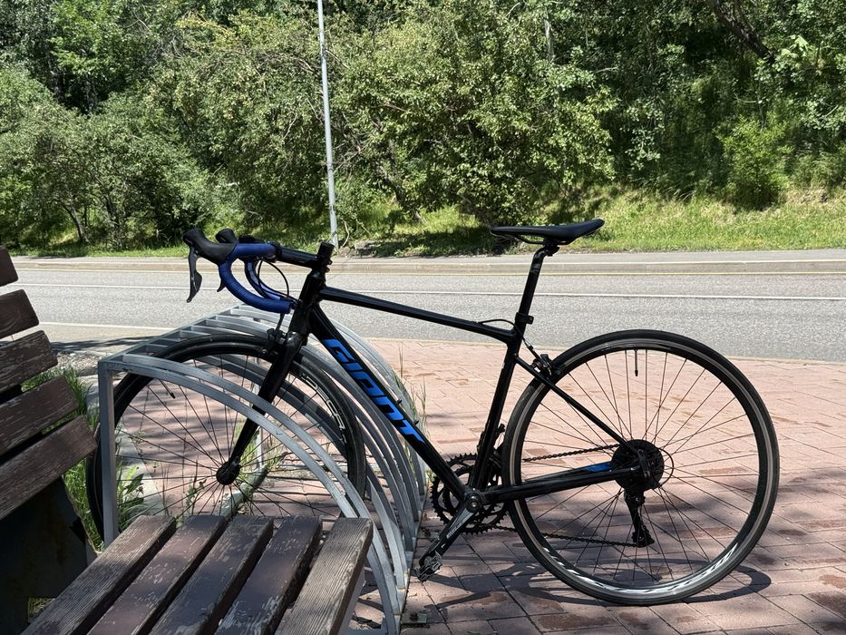 Giant Contend 3 ИДЕАЛ