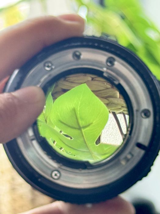 Nikon 135mm f/2 - 1:2D AF DC