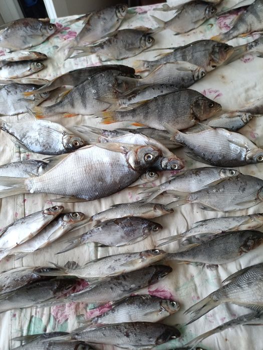 Рыба вяленная  местная