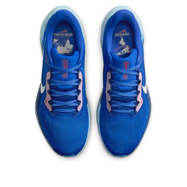 Nike air zoom pegasus 41
