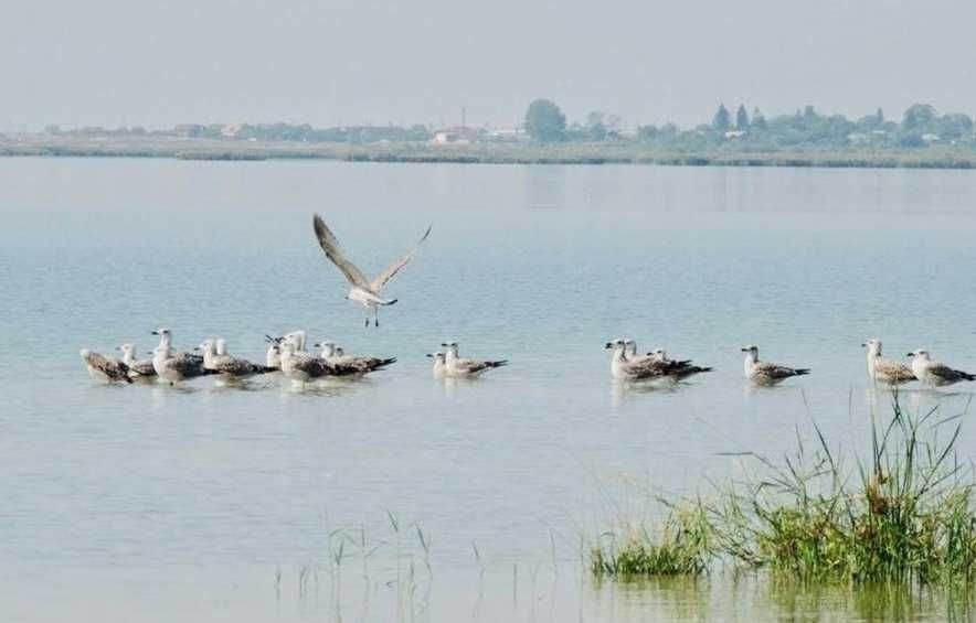 Cornetu 1826 mp, aproape de București și Lacul Mihăilești -3,6 euro/mp