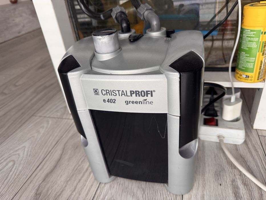 Acvariu in masa cu pesti, cliclide africane