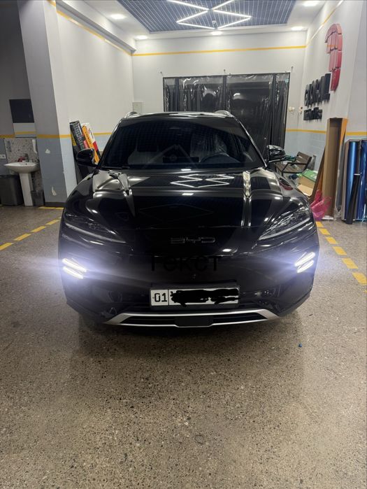 byd chempion 2024