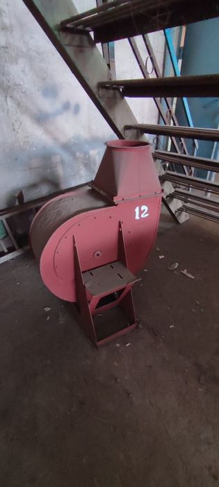 Продаются улитки