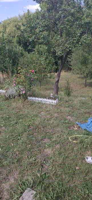 Продава се Къща в с. Муртинци, Област Перник - 24 кв.м за 1250 €/кв.м - Снимка #5