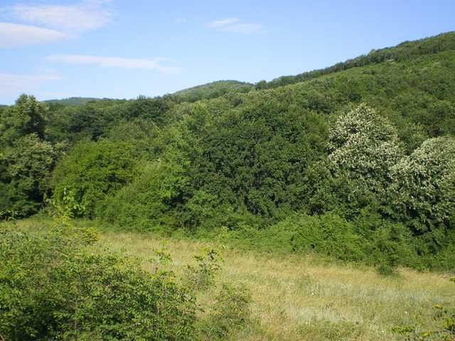 Продава се Парцел в Стара Загора, Аязмото - 6702 кв.м за 5 €/кв.м - Снимка #3