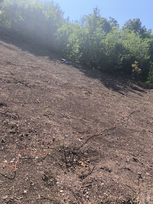 Продава се Парцел в Асеновград - 2500 кв.м за 25 €/кв.м - Снимка #2