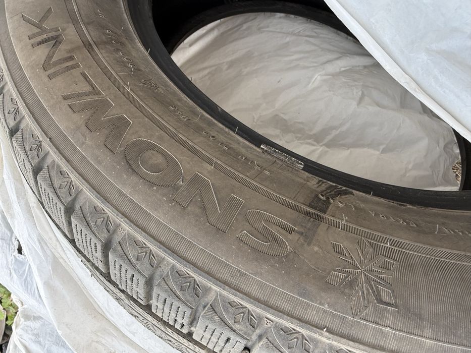 Зимние шины Triangle