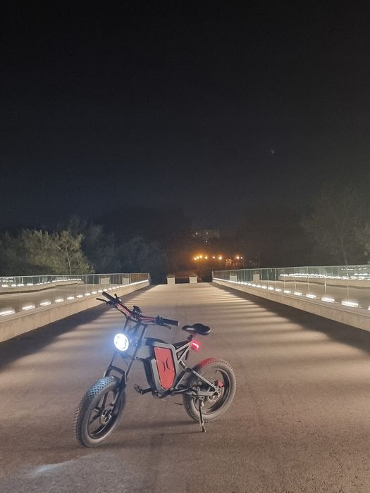 Bicicleta/Moped electric