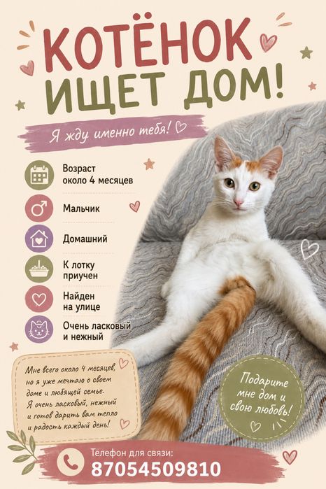 Котенок в добрые руки