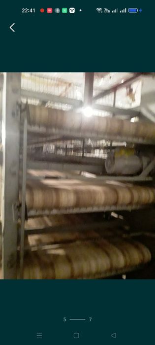 Продам срочно клеточное