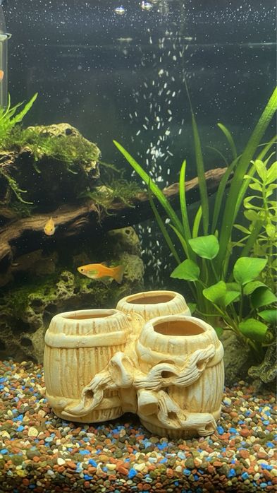 Новый Декор для аквариума