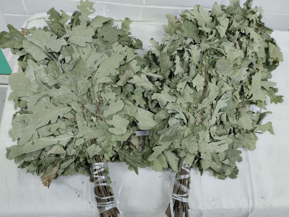 Дубовые веники .