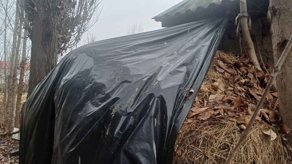 Беда 200+ бог' бор