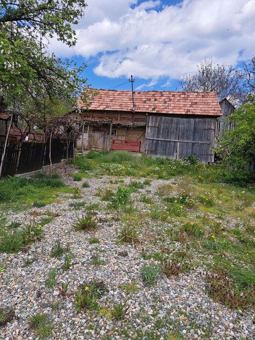 Casă cu teren 2.200 mp și anexe gospodărești – Stupini, Sânmihaiu de Câmpie, Bistrița-Năsăud